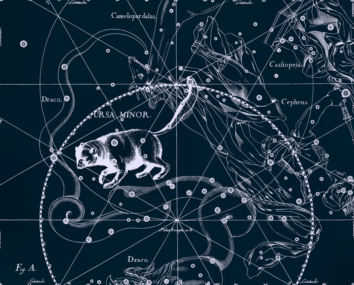 Constellation vēsture
