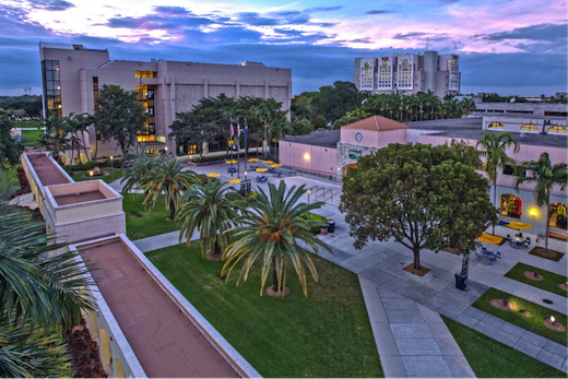 Міжнародний університет Флориди - Florida International University (FIU)