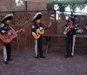Обов'язковими інструментами в мексиканському ансамблі вважається труба і скрипка